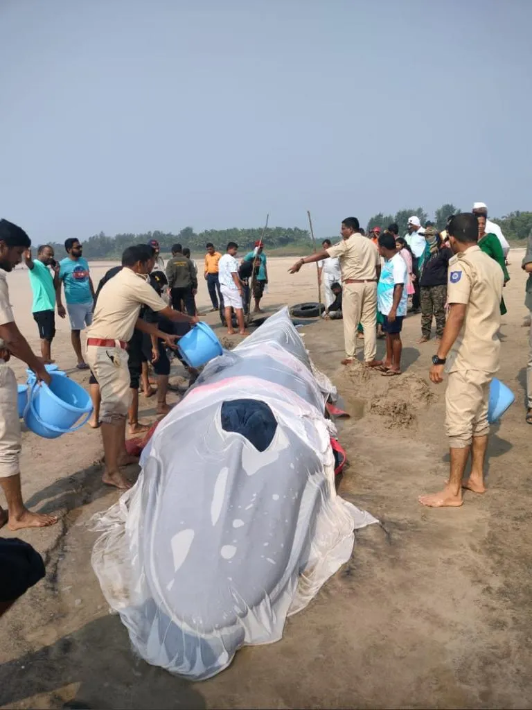 Beach cleanup initiative